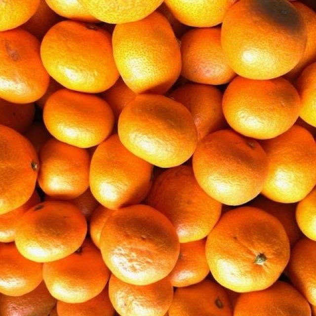 柑橘類